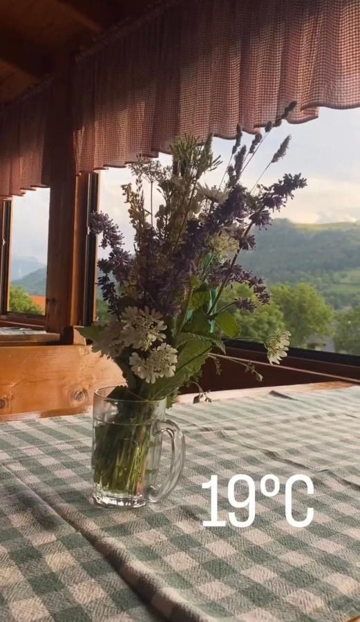 Bed And Breakfast Umoljani Dış mekan fotoğraf